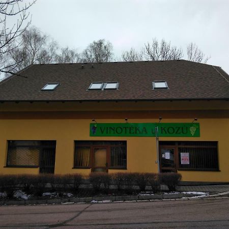 Готель Vinoteka "U Kozu" Нове-Мєсто-над-Метуї Екстер'єр фото