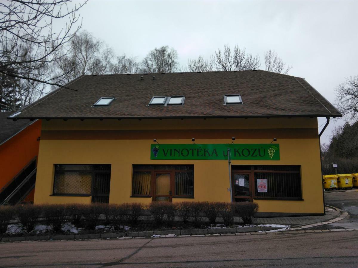 Готель Vinoteka "U Kozu" Нове-Мєсто-над-Метуї Екстер'єр фото